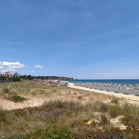 My Site Alvor