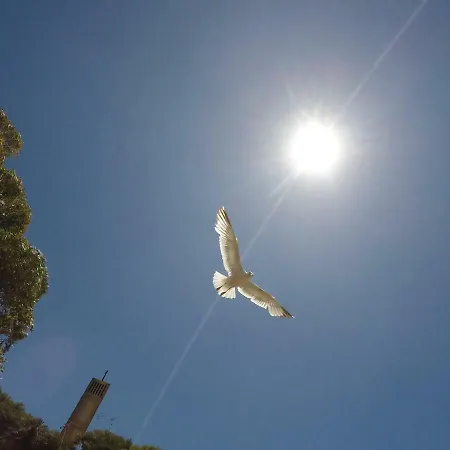 Apartman My Site Alvor